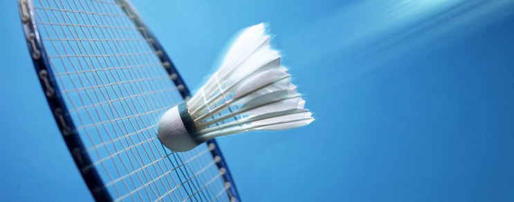 Badmintonschläger Badmintonschläger