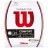 Wilson Sensation