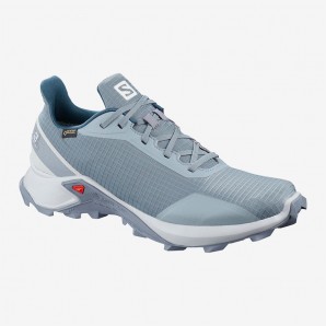 Salomon Alphacross GTX - Herren