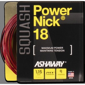 Ashaway Power Nick 18 Zytek